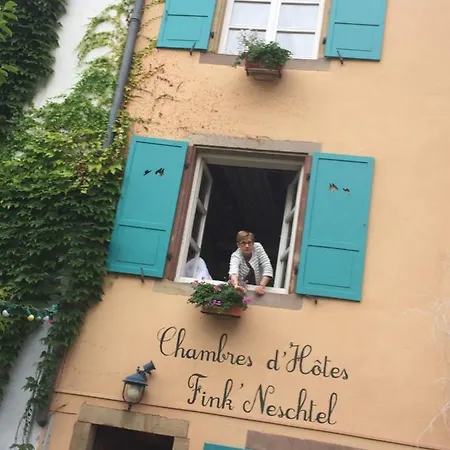 Fink'neschtel - Maison D'hotes Penzion