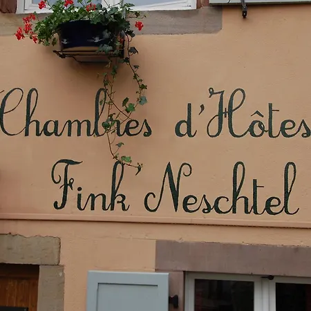Penzion Fink'neschtel - Maison D'hotes