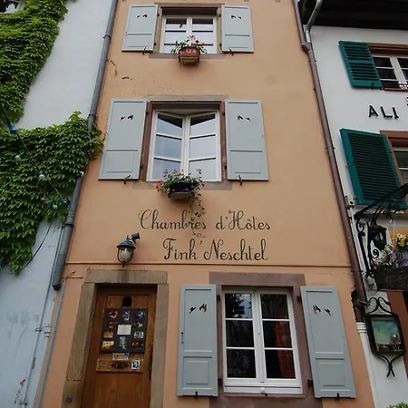 Fink'neschtel - Maison D'hotes Gæstehus Strasbourg